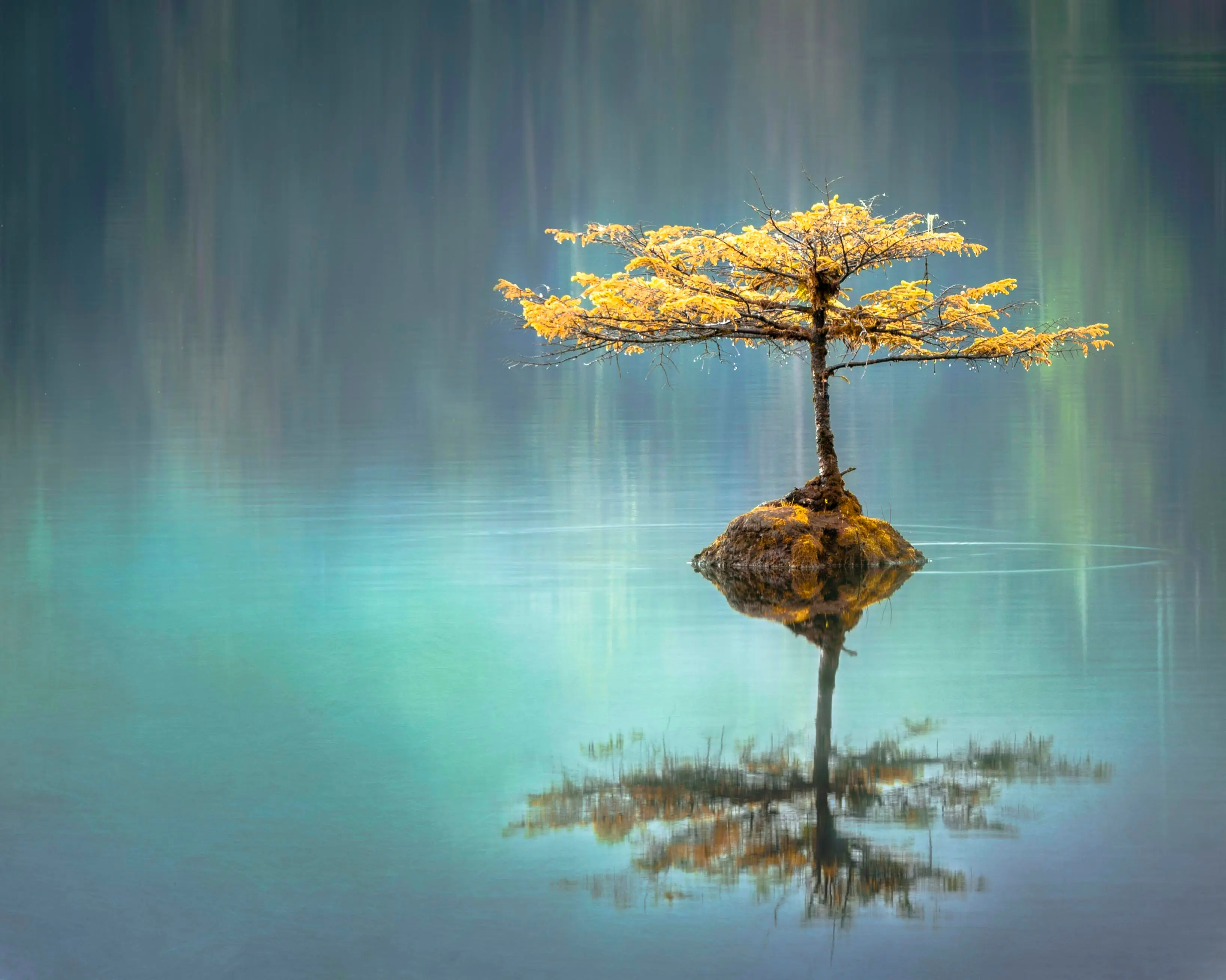 Morning meditation